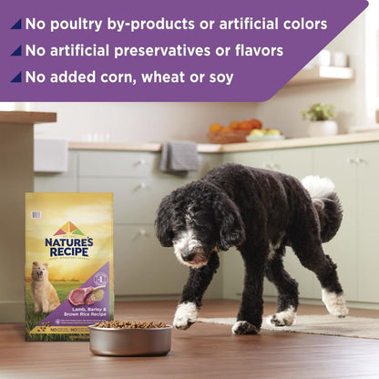 Nature's Recipe® Dry Dog Food — Lamb, Barley & Brown Rice, 24 lb