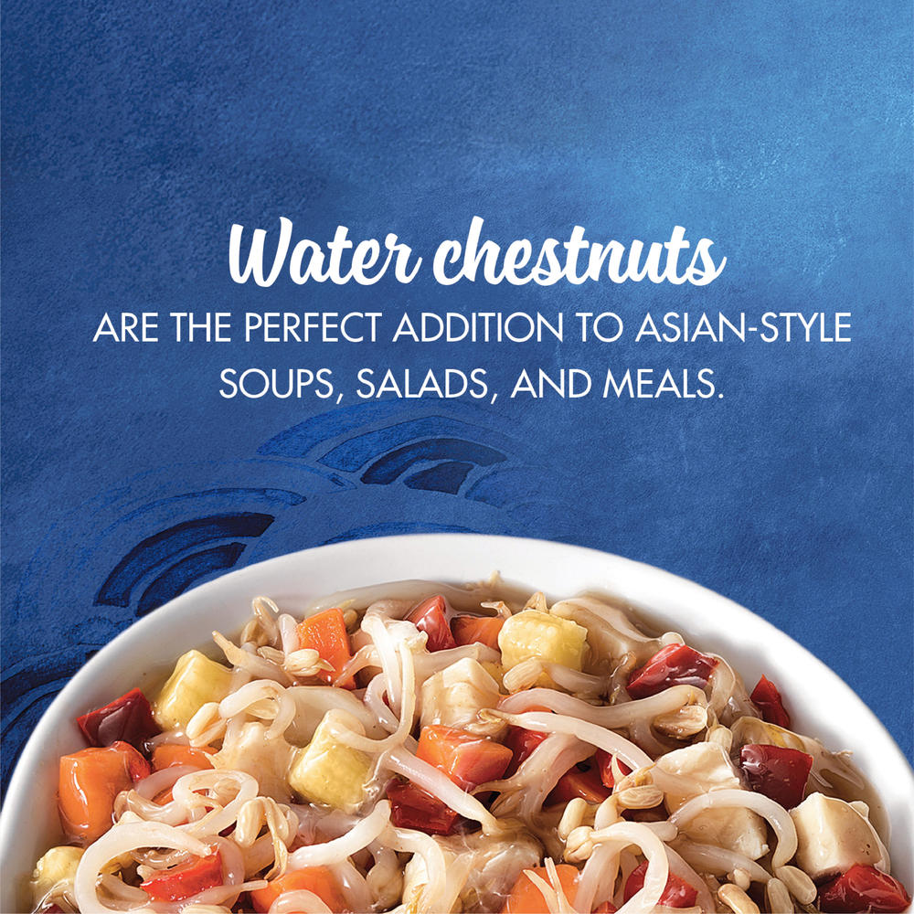PreviousNext La Choy® Sliced Water Chestnuts - 8 oz