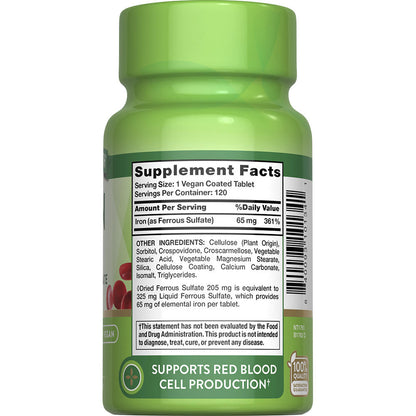 Nature’s Truth® Iron 65 mg Tablets — 120 Count, Daily Iron Supplement for Energy Support