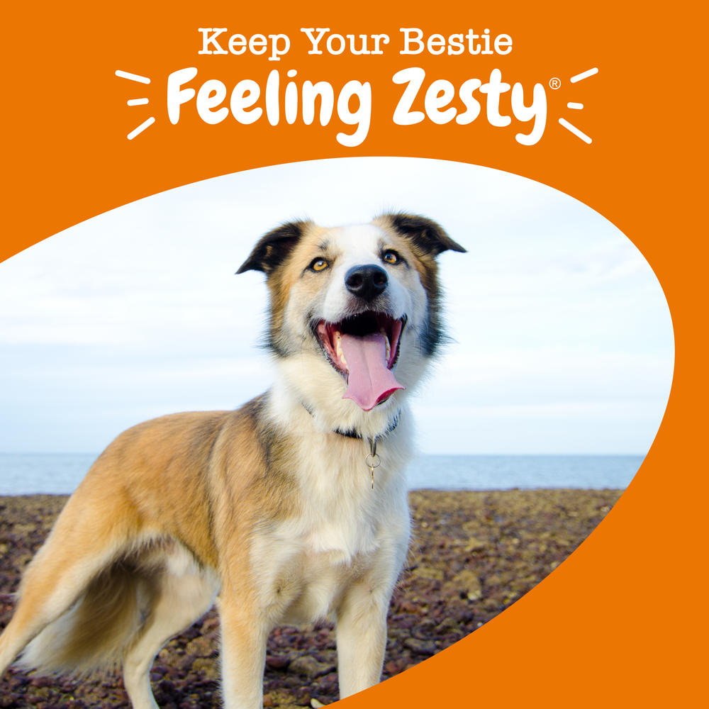Zesty Paws® 8-in-1 Chicken Multivitamin Bites for Dogs — 90 Count, Immune, Joint & Skin Support