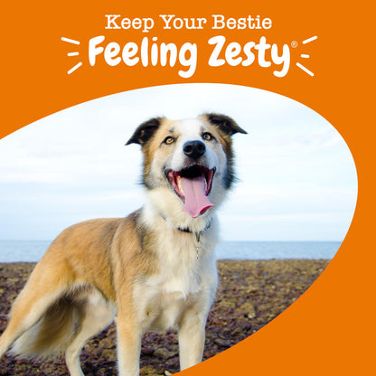 Zesty Paws® 8-in-1 Chicken Multivitamin Bites for Dogs — 90 Count, Immune, Joint & Skin Support
