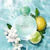 Acqua di Gioia Eau de Parfum with Fresh Lemon & Water Jasmine