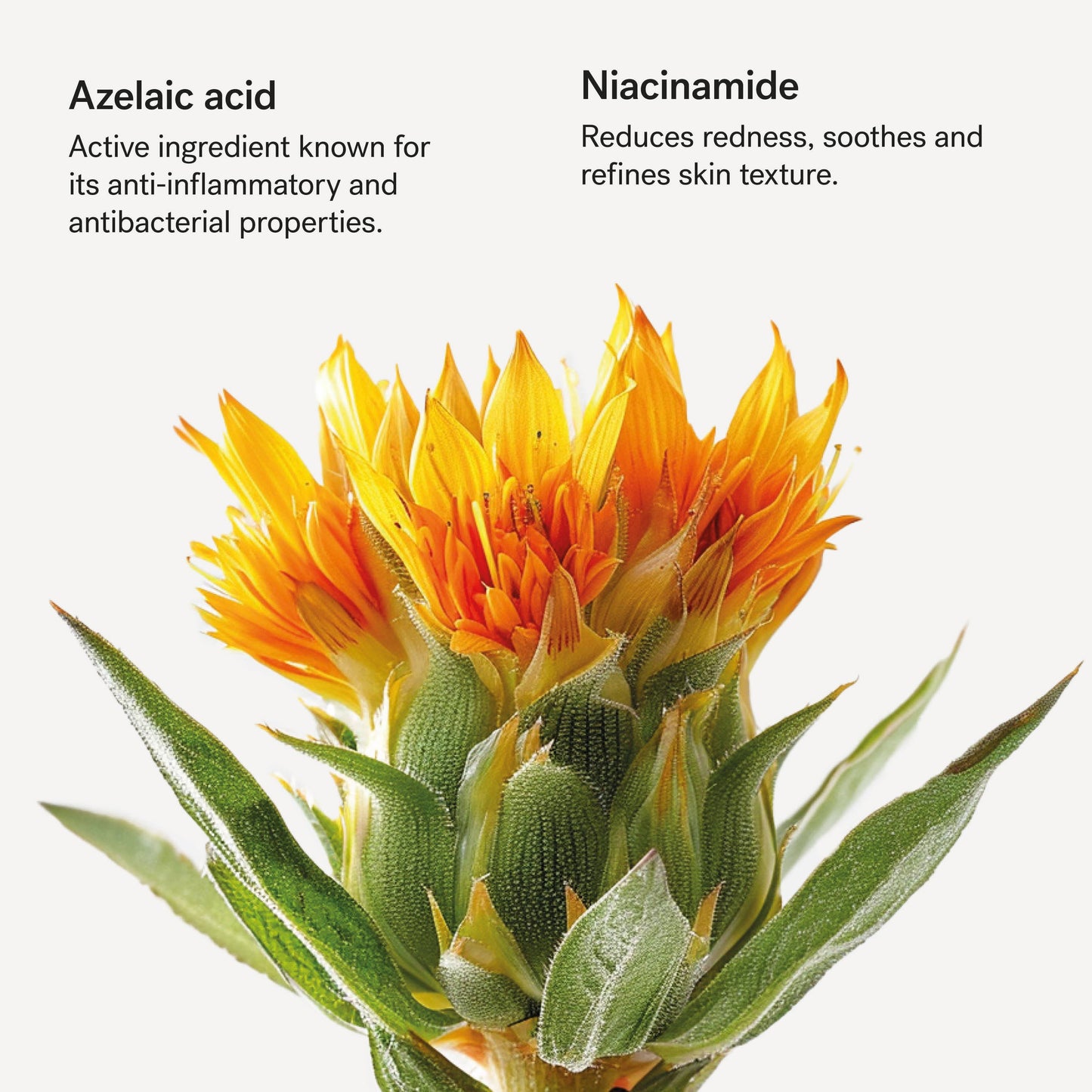 C40 Redness Relief Moisturiser – Azelaic Acid & Niacinamide Face Cream for Rosacea-Prone, Sensitive Skin, 50 mL