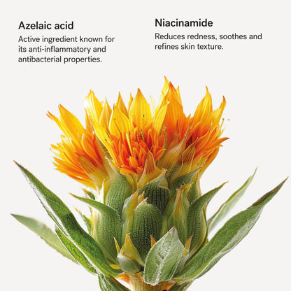 C40 Redness Relief Moisturiser – Azelaic Acid & Niacinamide Face Cream for Rosacea-Prone, Sensitive Skin, 50 mL