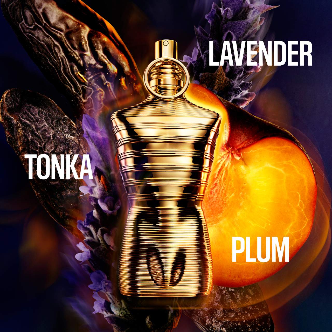 Jean Paul Gaultier Le Male Elixir Absolu Eau de Parfum — Warm Spicy Tonka Bean Fragrance