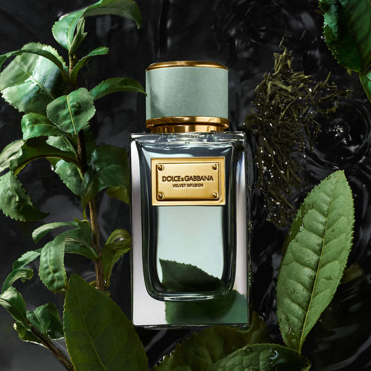 Dolce & Gabbana Velvet Infusion Eau de Parfum — Bergamot Citrus Scent, Luxury Perfume