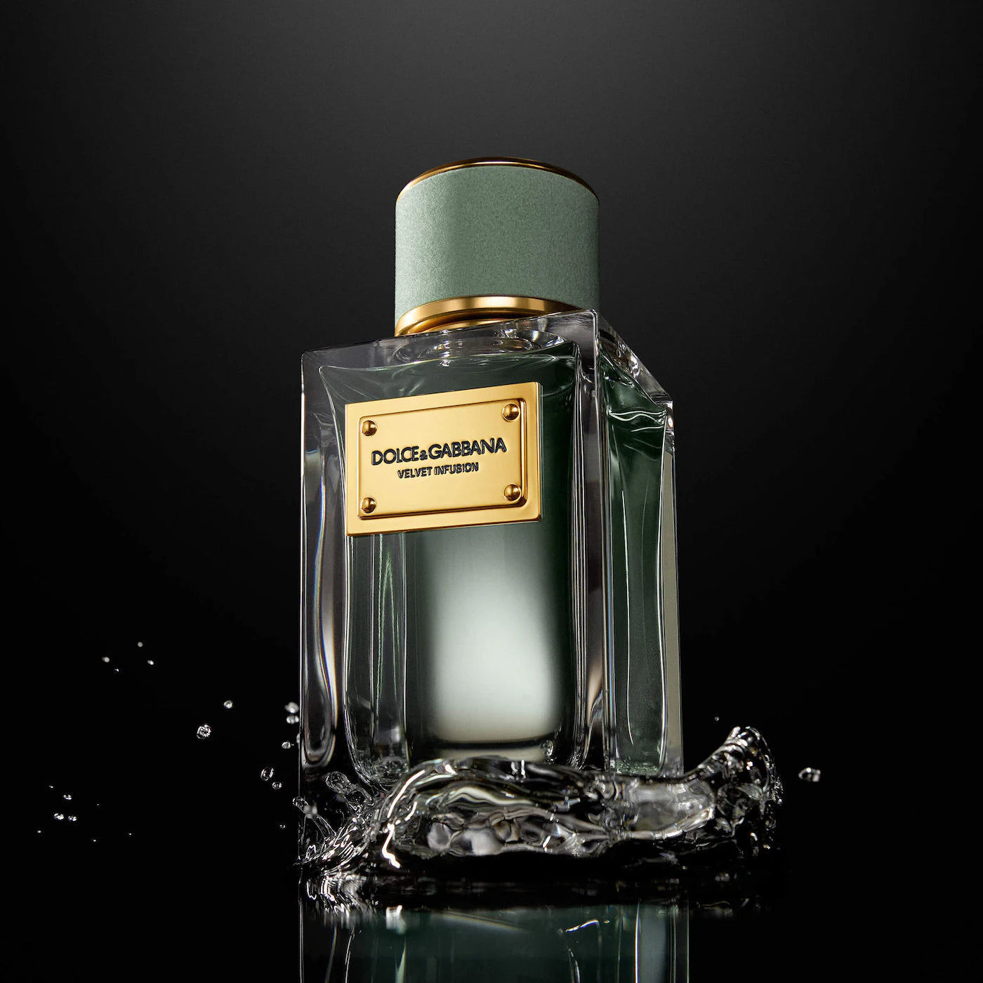 Dolce & Gabbana Velvet Infusion Eau de Parfum — Bergamot Citrus Scent, Luxury Perfume