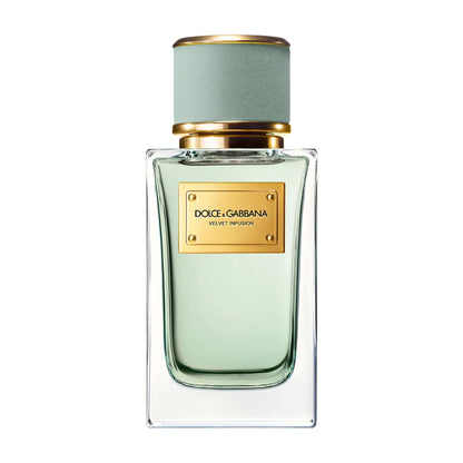 Dolce & Gabbana Velvet Infusion Eau de Parfum — Bergamot Citrus Scent, Luxury Perfume