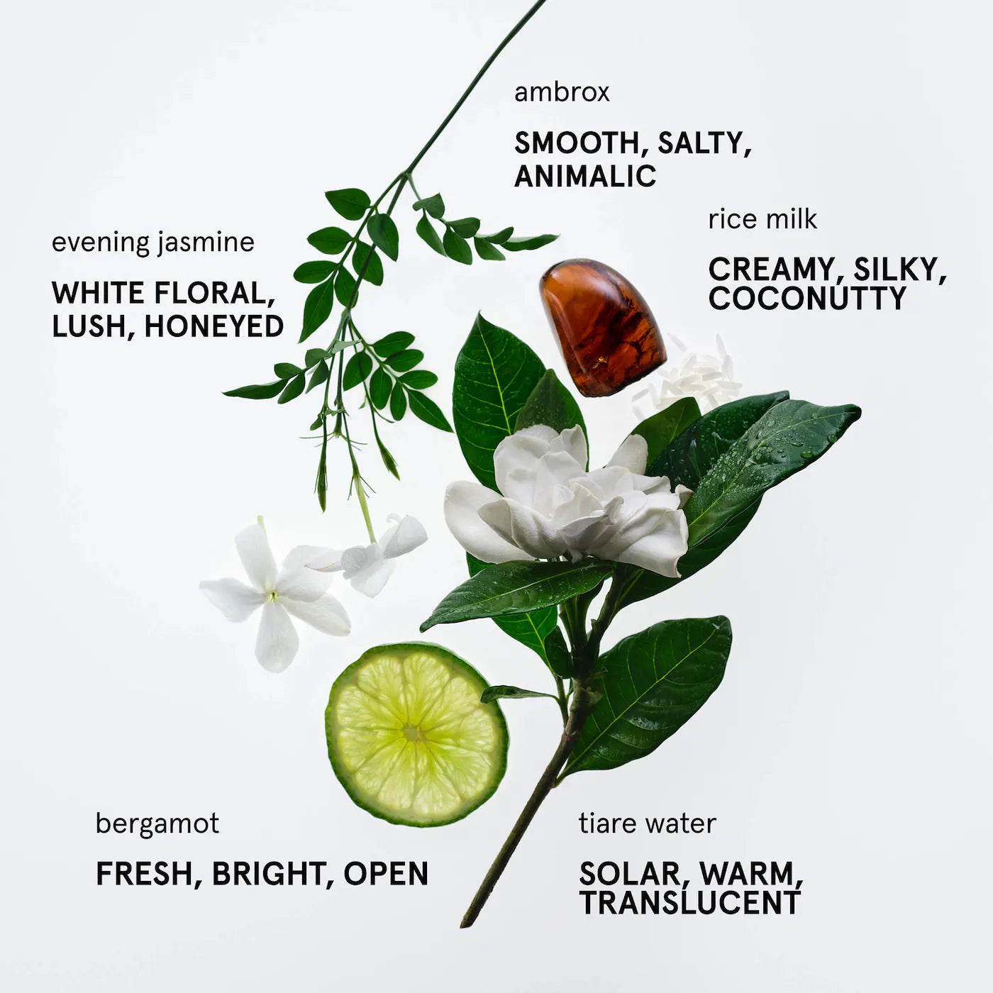 Glossier You Soie Eau de Parfum — Fresh Solar Skin Scent with Rice Milk & Jasmine