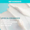 SEPHORA COLLECTION SEPHORA COLLECTION HYDRATE Rich Cream – Nourishing Ceramide & Lipid Face Moisturizer