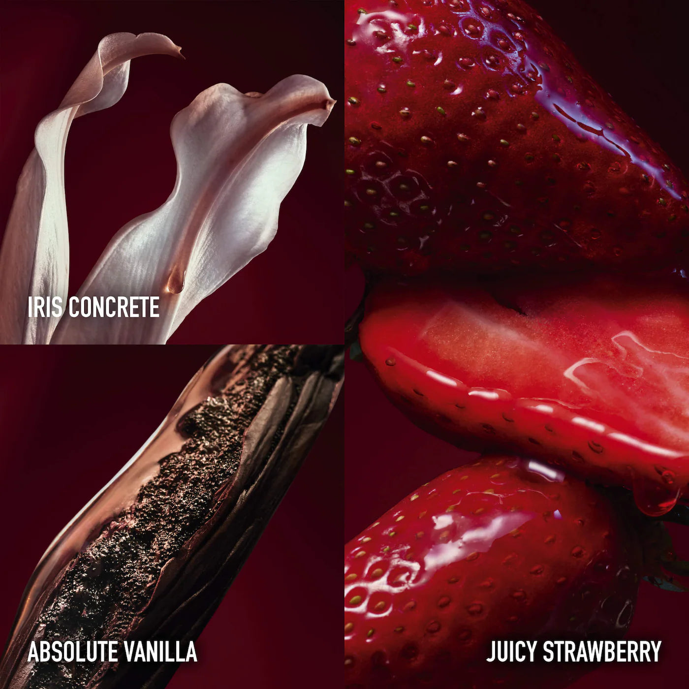 Rabanne Fame in Love Parfum Elixir — Strawberry, Floral & Vanilla Luxury Fragrance