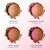 Sun Bunny Luminous Blushing Bronzer4